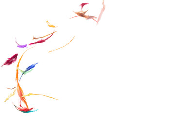 Many color Feather fly fall beautiful spiral pattern in air over black background isolated. Puffy Fluffy soft feathers like dream floating dove in sky. Colorful feathers are so light and delicate