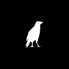 Raven icon designs isolated on black background