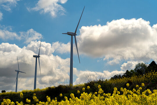 Windmills between agricultural fields with rapeseed plantations on the hills of the province of Tarragona in Spain