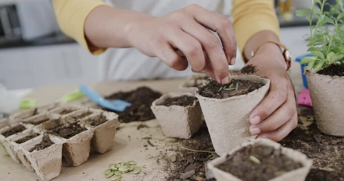 Midsection of biracial woman planting seeds in biodegradable starter pot with soil, in slow motion