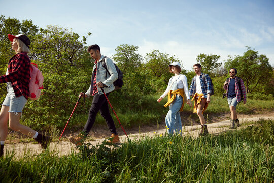 Young people, friends, men and women in casual clothes walking in forest, going hiking on warm summer day. Active weekends. Concept of active lifestyle, nature, sport and hobby, friendship