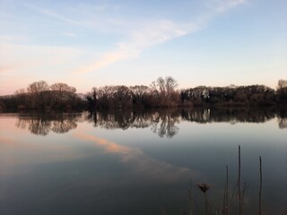 A lake with trees and a sky that is blue and pink