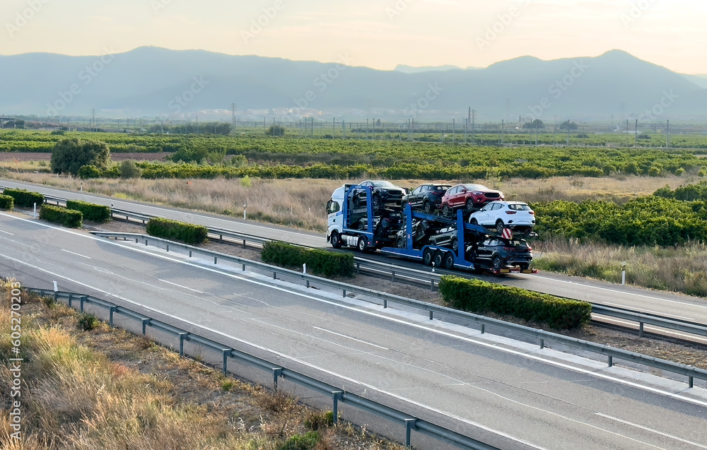 Wall mural car carrier trailer transports cars on highway. auto transport and car shipping services concept. tr