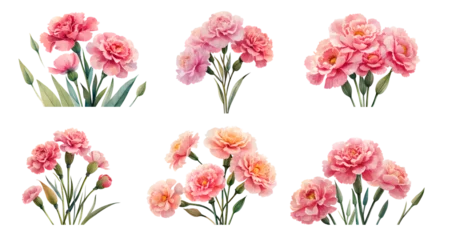 Rolgordijnen Watercolor carnation set. Generative Ai © Vika art