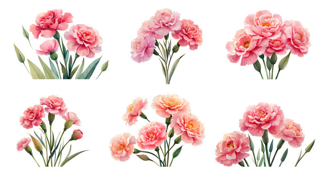 Watercolor carnation set. Generative Ai