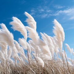 Pampas Grass Against Blue Sky. Generative AI