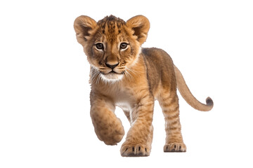 Fototapeta na wymiar Playful Lion Cub: Isolated on transparent for an Adorable Strid, Generative Ai