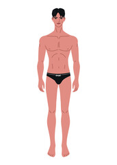 Man in underwear body front view , illustration on white background. Isolated clip art of male model.