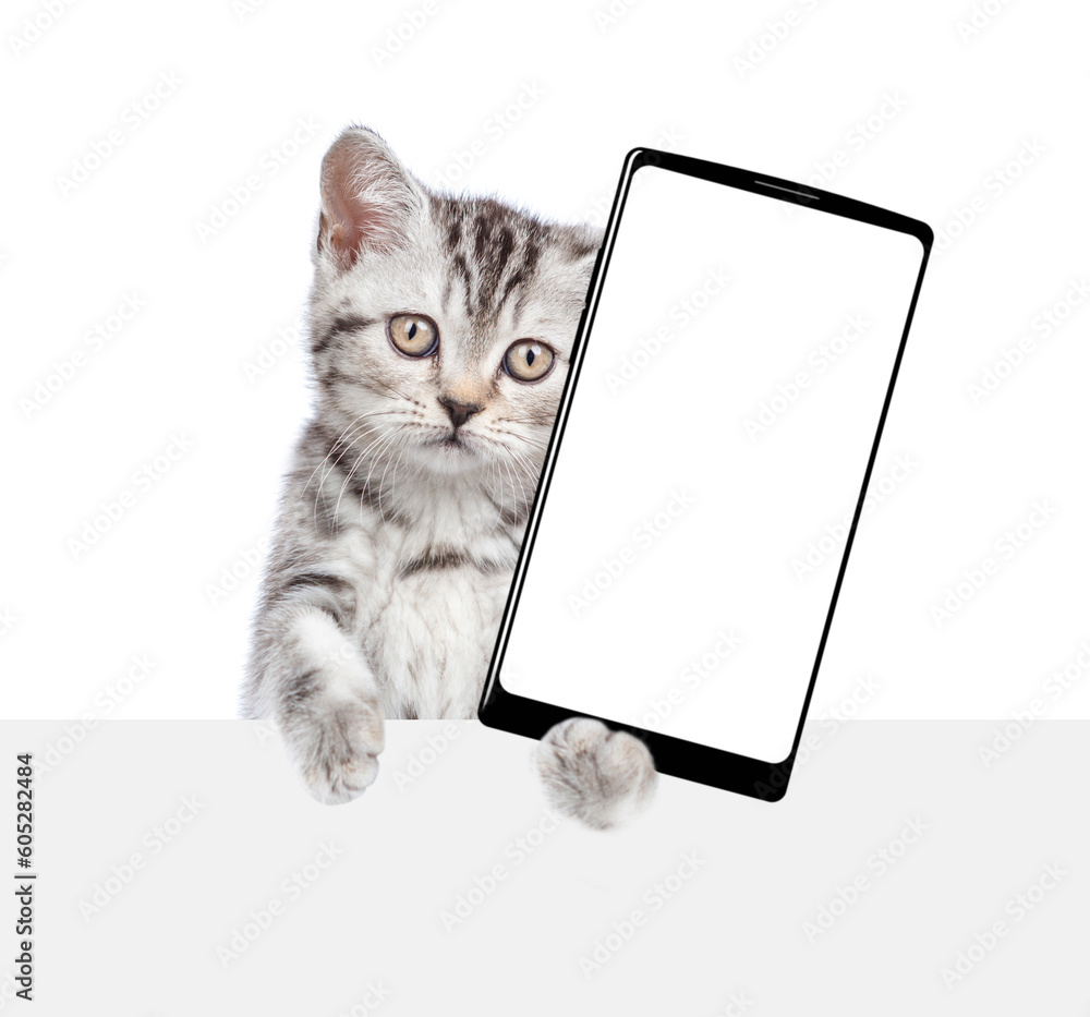 Poster cute cat looks from behind empty white banner and shows big smartphone with blank screen. isolated o