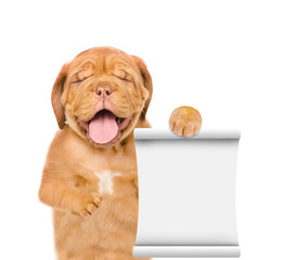 Laughing  Mastiff puppy shows empty list. Isolated on white background