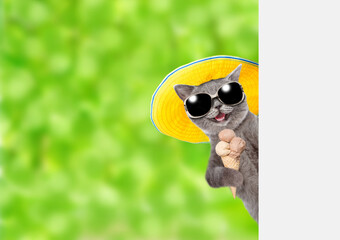 Funny cat wearing summer hat and sunglasses holds ice cream and looks from behind empty white banner at summer park. Empty space for text