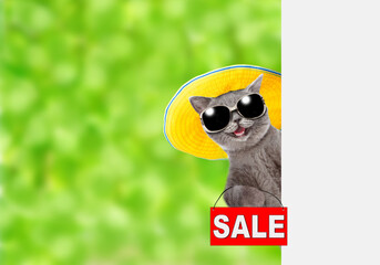 Funny cat wearing sunglasses and summer hat shows signboard with labeled "sale" and looks from behind empty white banner