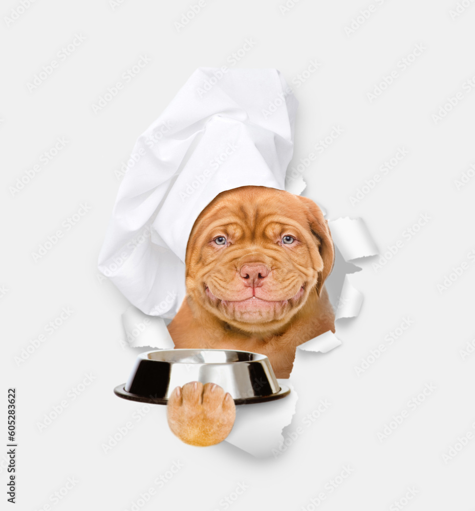 Poster smiling mastiff puppy wearing chef's hat holding empty bowl. isolated on white background