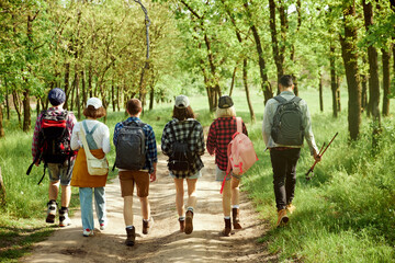 Active, sportive young people, friends going hiking with backpacks in forest on warm spring day, walking on path, enjoying landscapes. Concept of active lifestyle, nature, sport and hobby, friendship - obrazy, fototapety, plakaty