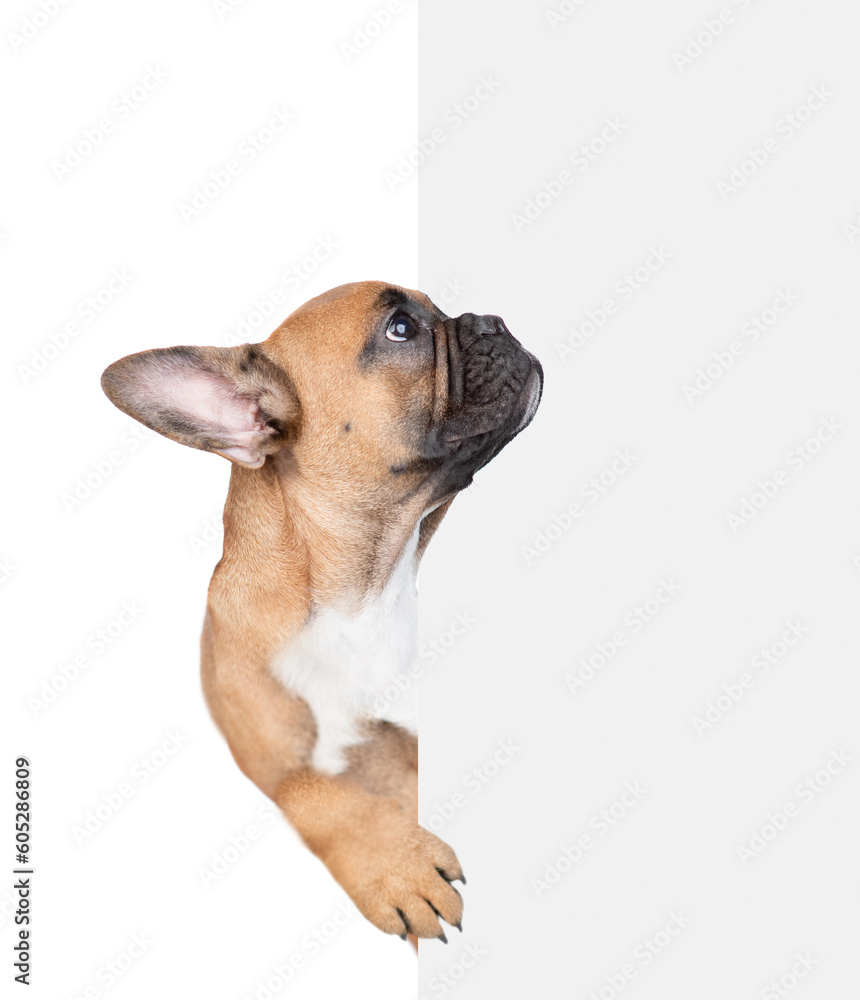 Aufkleber laughing mastiff puppy holding smartphone with empty screen in it paws. isolated on white background