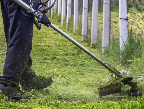 The gardener cutting grass by lawn mower. 