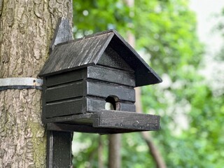 Wooden birdhouse on the tree.
