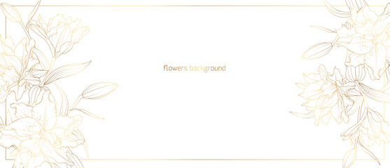 Golden floral border frame card template. Gold lily flower line art for bunner, wedding card. Rectangle corners sides decoration. - 605296072