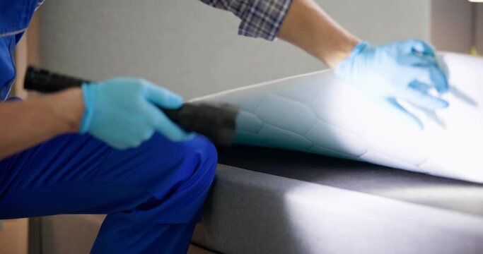 Bed Bug Infestation And Treatment Service