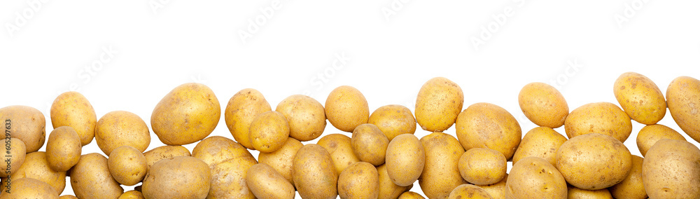 Wall mural a heap of potatoes as banner, border, headline, header or panorama, isolated on transparent backgrou