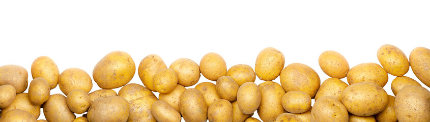 a heap of potatoes as banner, border, headline, header or panorama, isolated on transparent...