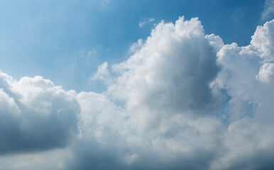 A large cloud in the sky