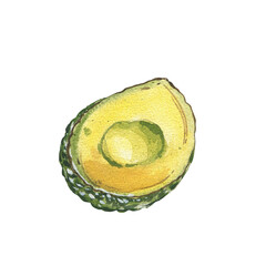 Ripe avocado slice isolated on white background. Watercolor hand drawing botanic realistic illustration. Art for design - 605298677
