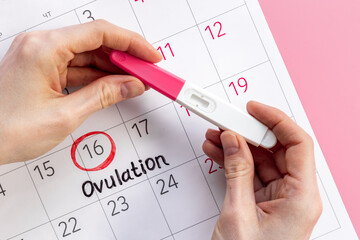 Pregnancy test with female ovulation day on calendar - obrazy, fototapety, plakaty