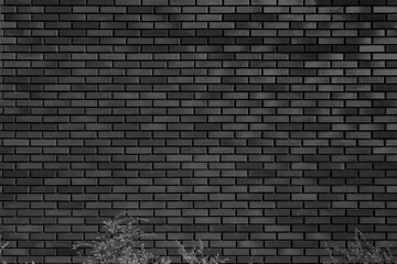 Brick wall of the building.