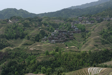 Guilin, Guangxi province, Rice terraces. 