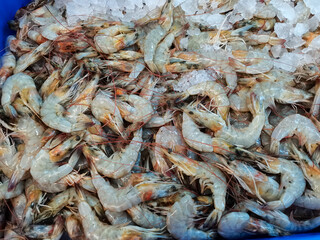 Shrimp that has just been harvested and selected for sale in the market, Shrimp farming related to the maintenance of shrimp from the time the eggs hatch until they are ready to be harvested for human