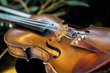 Fototapeta premium details of a vintage style violin with natural woods that provide a unique sound