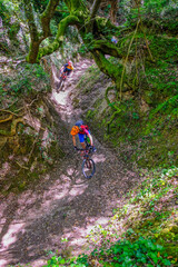 Unrecognisable mountain bikers ride a canyon overgrown with moss that looks like a jungle, Massa Marittima, Tuscany, Italy