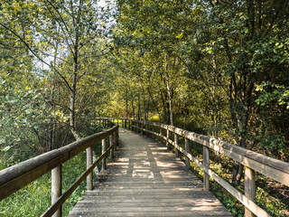 Wooden pathway in Fiaes, Santa Maria da Feira - Portugal.