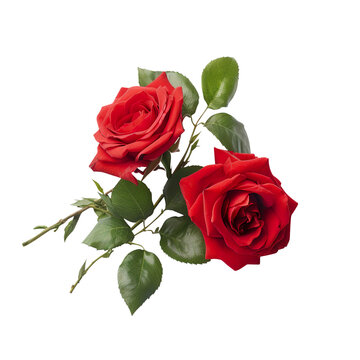 red roses created with Generative AI