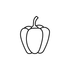 peppers. Vector illustration of sweet pepper. Hand drawn pepper. Sketch paprika. pepper line art