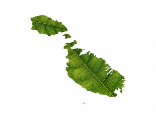 Illustration of a green leaf in a shape of a map isolated on the white background