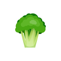 Green broccoli on white background