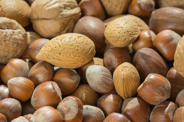 Assorted mix of different nuts in shells