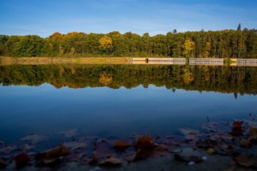 Fototapeta premium Reflection of the colorful trees of an autumn park on the still lake under the blue sky