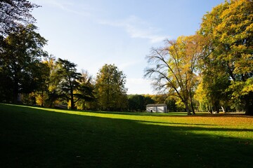 Obraz premium Scenic shot of an autumn park and a building in the distance under the blue sky