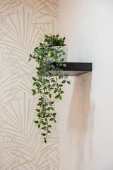 Artificial green plant on the wall, vertical shot
