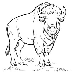 Bison: Vector, Line art, Coloring, Wildlife, Animal, Cute