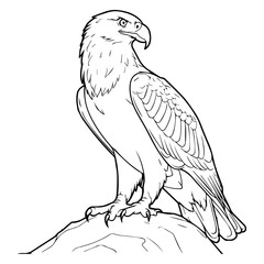 Eagle: Vector, Line art, Coloring, Wildlife, Animal, Cute