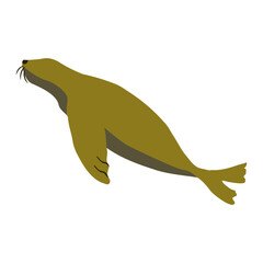 アシカのフラットベクターイラスト © 知哉 山岡