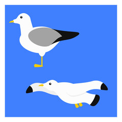 Obraz premium カモメのフラットベクターイラスト