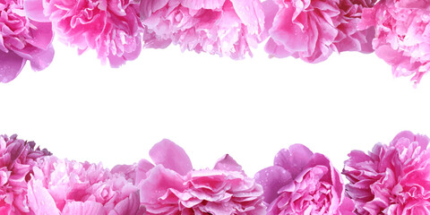 Peonies frame. Pink floral decoration.