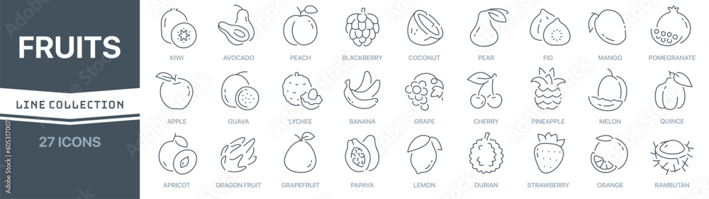 Poster Fruits linear signed icon collection. Signed thin line icons collection. Set of fruits simple outline icons