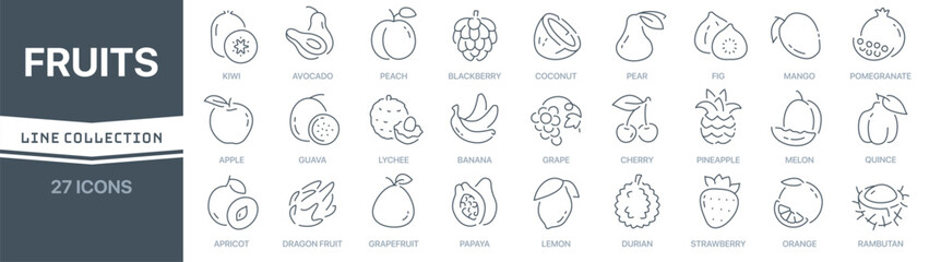 Fruits linear signed icon collection. Signed thin line icons collection. Set of fruits simple outline icons - obrazy, fototapety, plakaty