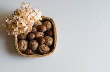 Walnuts and hazelnuts in autumn